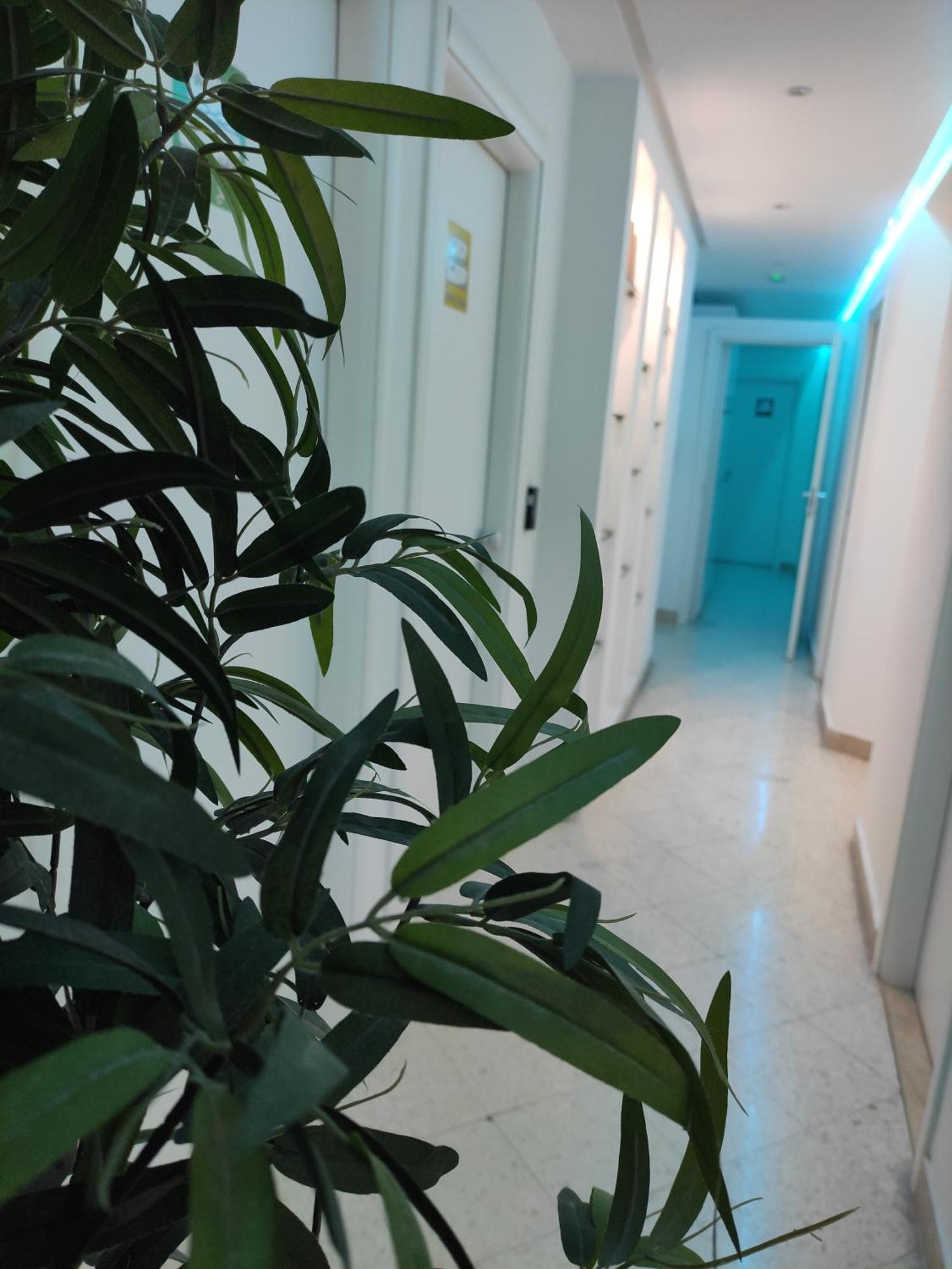 Palermo Central B&B Экстерьер фото